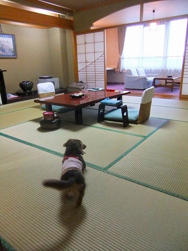 c0228404_3173740.jpg