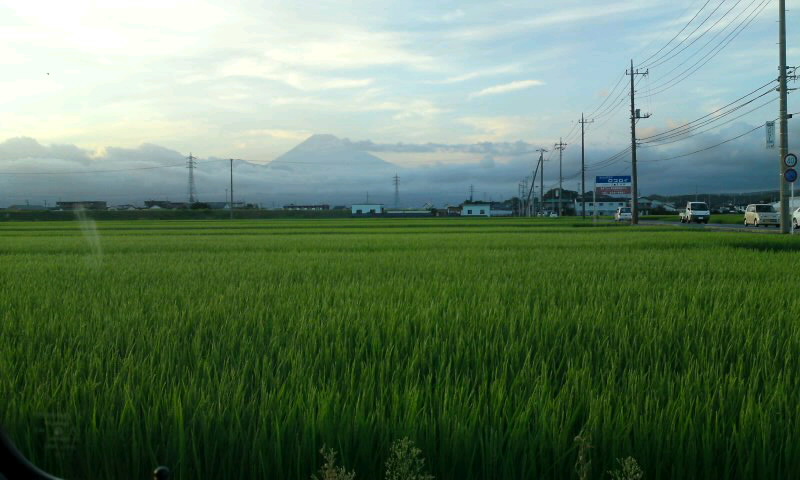 f0143606_2285273.jpg