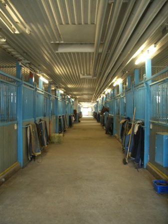 私達の競走馬 \"ルービンステイン\"_a0159707_19245958.jpg