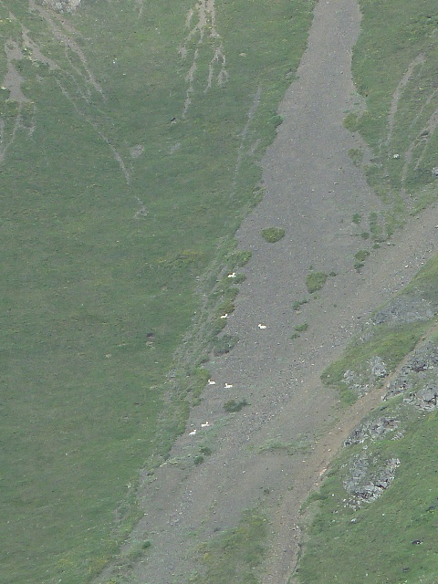 d0143907_6583515.jpg