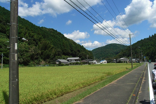 e0066210_2495725.jpg