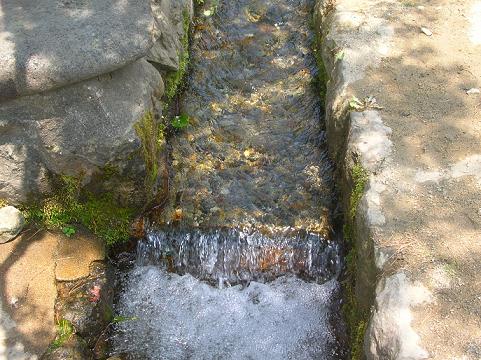 d0036611_1283077.jpg