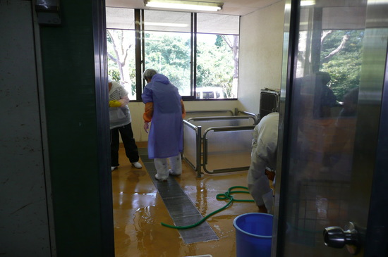 9月2日 愛護センター・レポート_f0121712_0564724.jpg