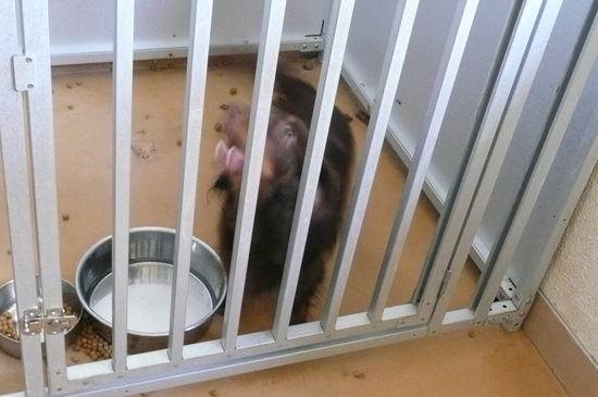 9月2日 愛護センター・レポート_f0121712_123144.jpg