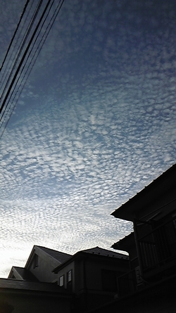 d0150013_20524987.jpg