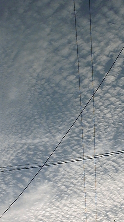 d0150013_2055468.jpg