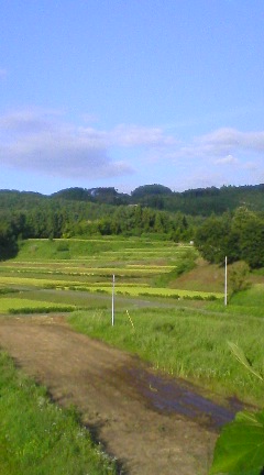 b0207514_22241830.jpg