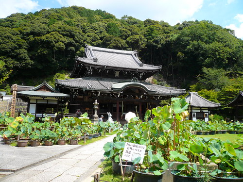 西国 十番札所 三 室 戸 寺_b0174217_17493836.jpg
