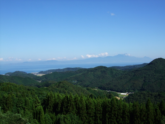 a0098521_1728190.jpg