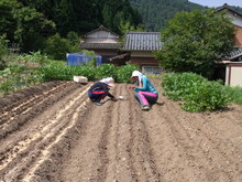 神奈川県から二人の大学生が越前市にやってきました(その1)_e0061225_14131573.jpg