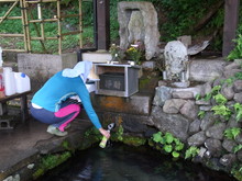 神奈川県から二人の大学生が越前市にやってきました(その2)_e0061225_14483755.jpg