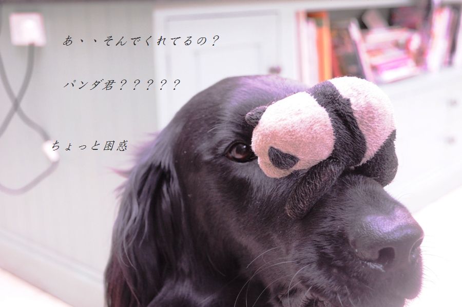 茹でキャベツと卵のカレーガーリックマヨサラダ☆_d0104926_1351019.jpg