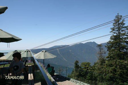 c0024729_19594028.jpg