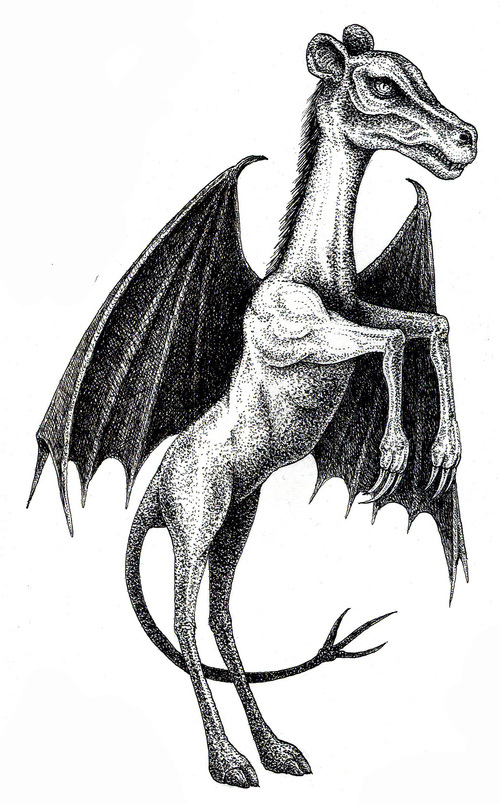 Jersey Devil_a0093332_2013655.jpg