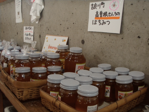 室戸のはちみつ、入荷しました。_f0227434_1646741.gif