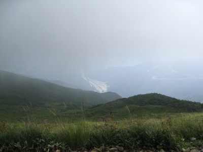 c0090236_1728235.jpg