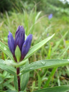 c0090236_17562269.jpg