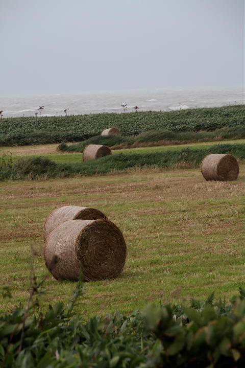 \'10 北海道ツーリング その5　(8月21日　3日目 その1)_b0168647_11594811.jpg