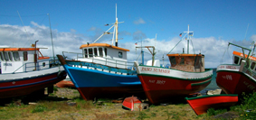 f0161647_1492138.jpg