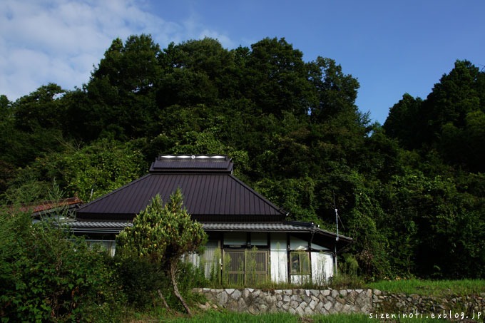 f0147858_1263231.jpg