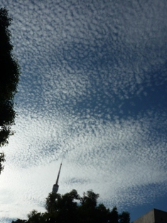 f0219773_045466.jpg