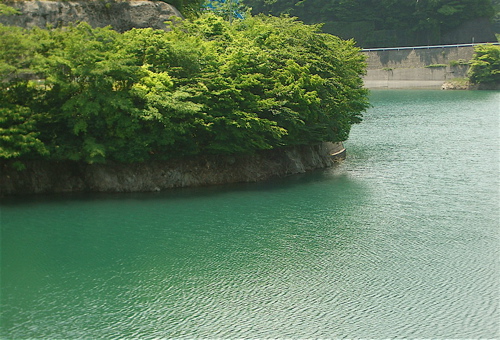 a0144181_1120444.jpg
