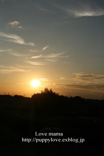 b0136683_21283195.jpg