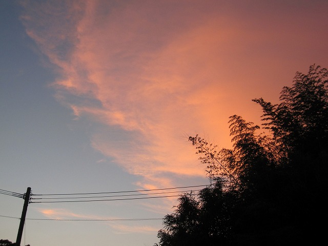 b0182884_5171438.jpg