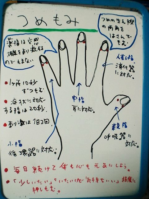 ストレスで交感神経が過度に緊張して起こる病気_f0115484_1413100.jpg