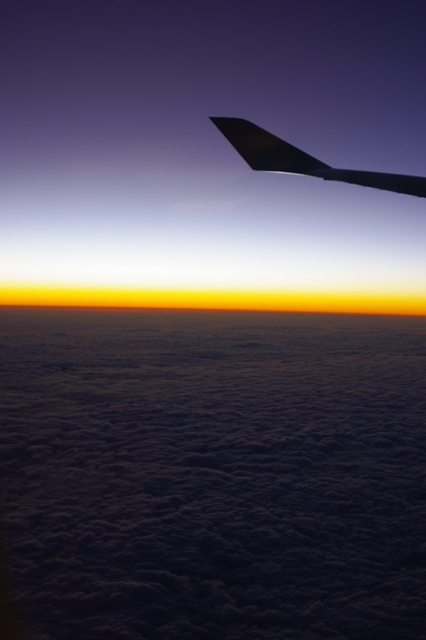 f0150785_848572.jpg