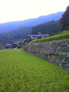c0194992_18105932.jpg