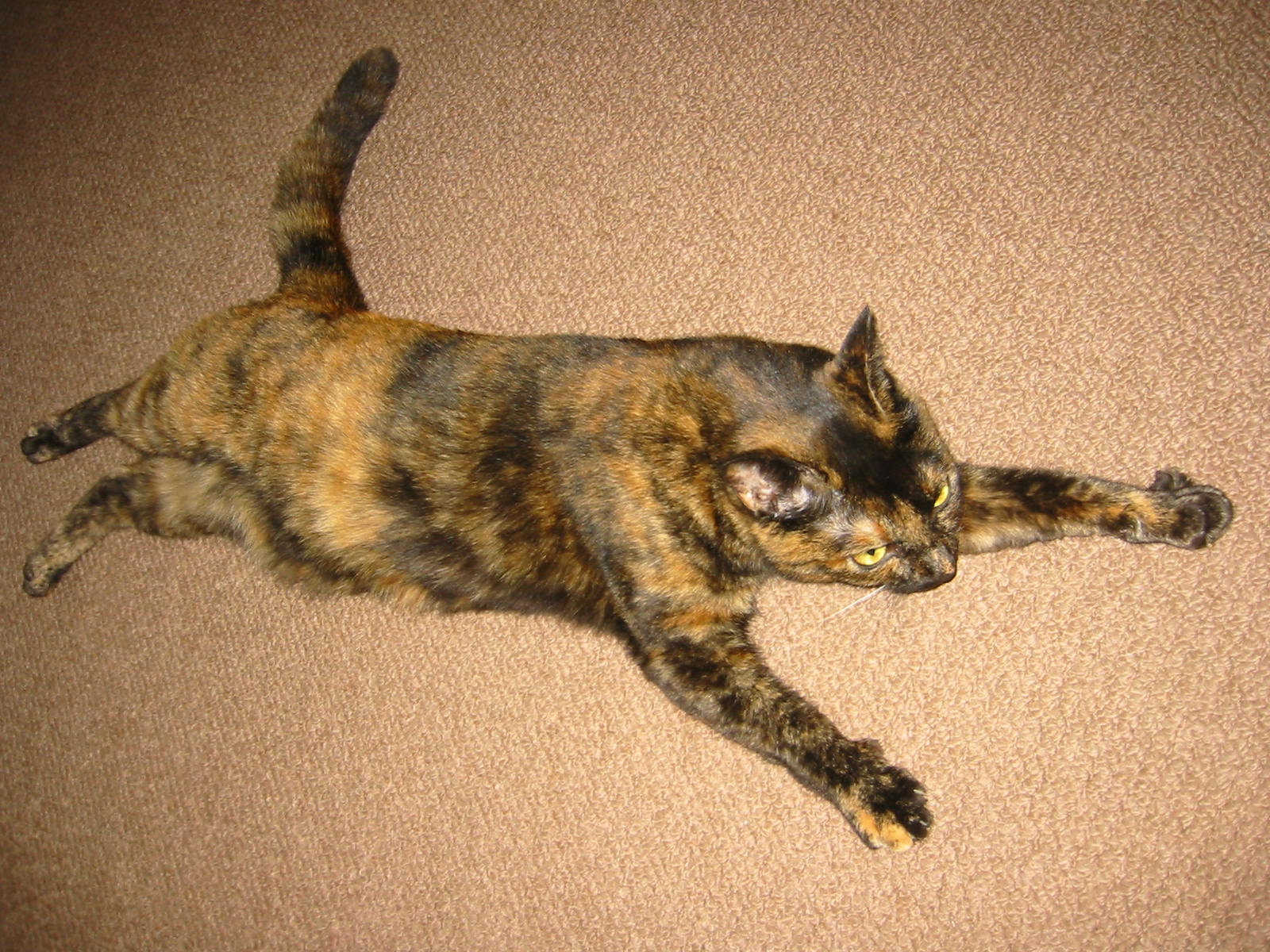 f0057094_1671499.jpg