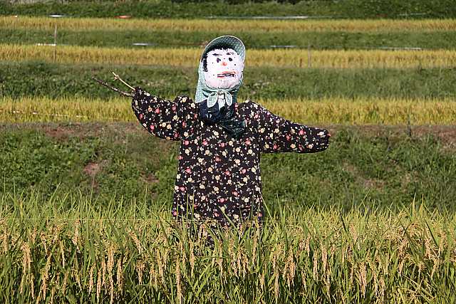 a0067201_1803718.jpg