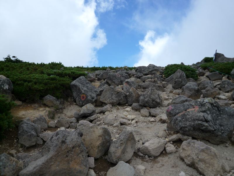 e0103903_15242523.jpg