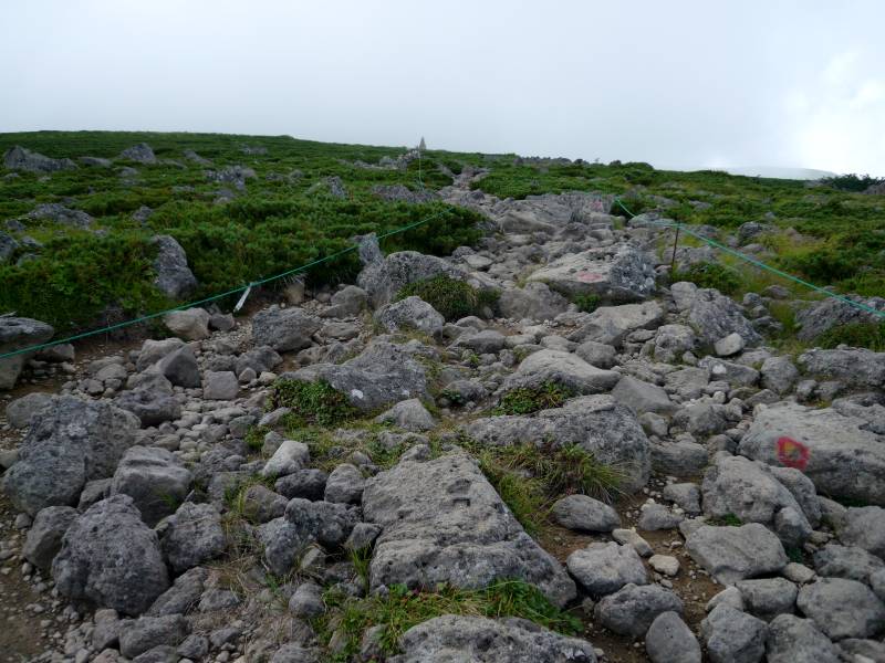 e0103903_15262659.jpg