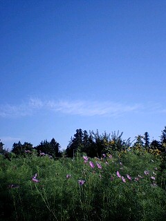 f0113109_7164176.jpg