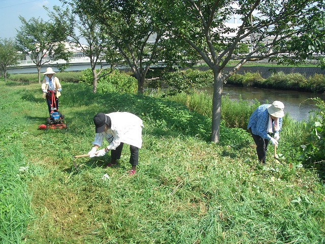 「彼岸花ウォーク」に向けた「滝川の土手普請」_f0141310_23304016.jpg