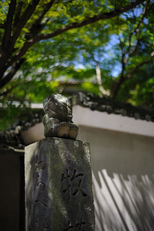 南禅寺 其の三_f0032011_19213734.jpg