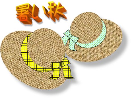 麦わら帽子 パソコン De あれこれ