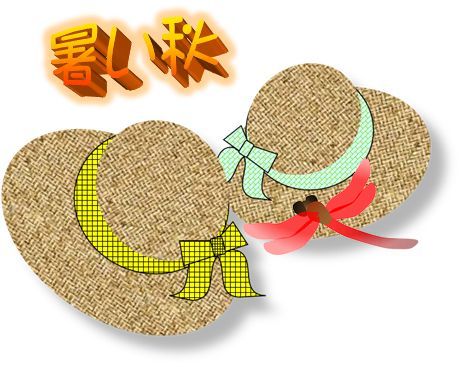 麦わら帽子 パソコン De あれこれ