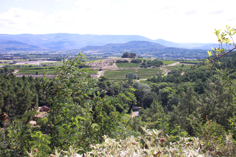 d0063314_18221473.jpg