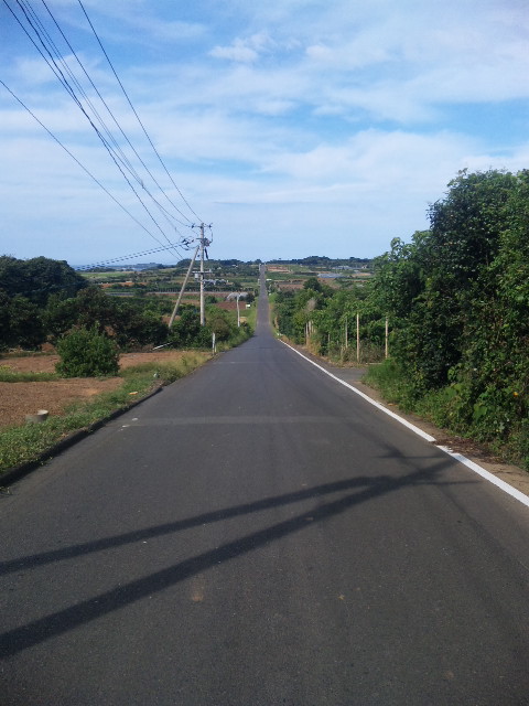 e0115914_026561.jpg
