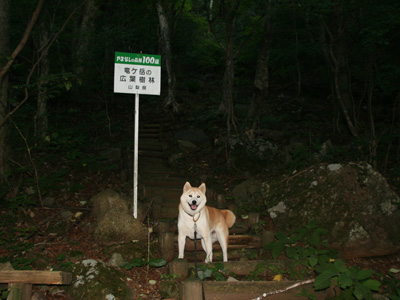 付き合うのも大変です。_c0166018_1015871.jpg