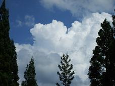 f0091318_13253997.jpg
