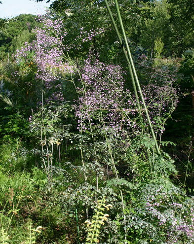 d0143719_1983189.jpg