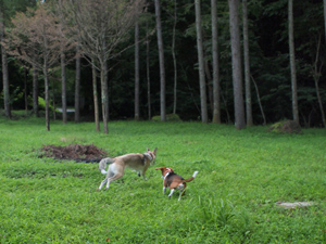 c0012120_027320.jpg