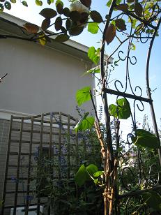 f0166824_1546054.jpg