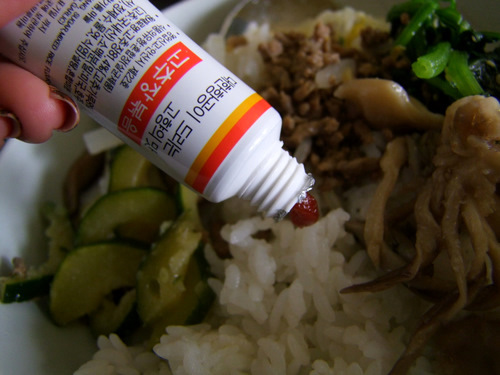 「韓国ブロガーツアー 成田空港大韓航空ビジネスクラスラウンジ、機内食ビビンパ、仁川国際空港」_a0000029_19192690.jpg