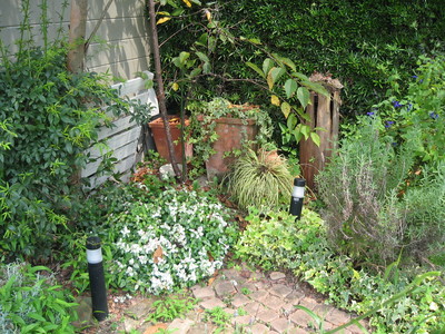 d0156029_21505729.jpg