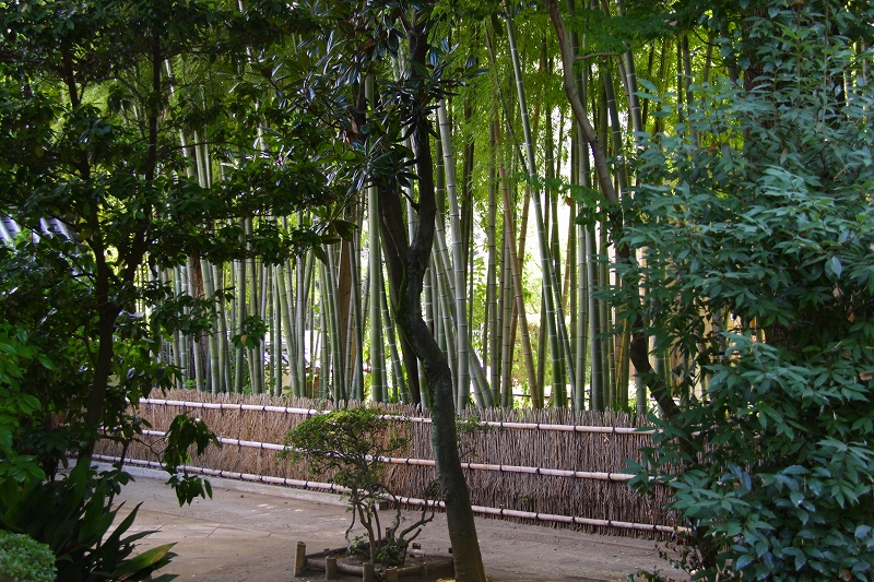 f0229832_1338797.jpg